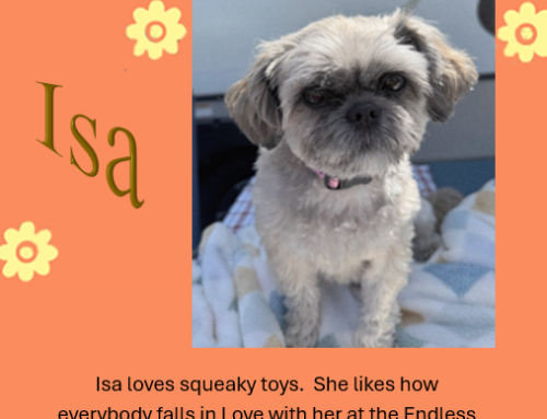 Isa