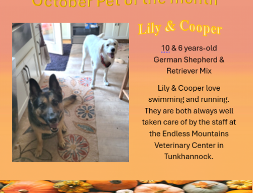 Lily & Cooper