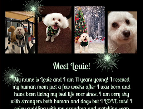 Louie