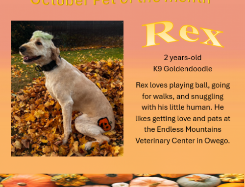 Rex