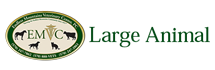 Large Animal