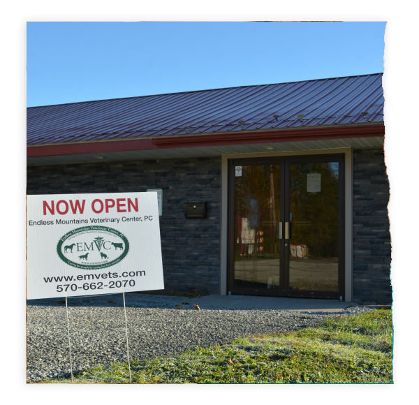 Endless Mountains Veterinary Center Mansfield building