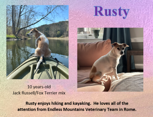 Rusty