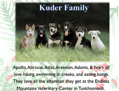 Kuder Family