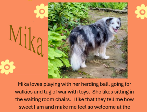 Mika
